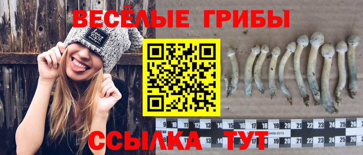 Псилоцибиновые грибы мухоморы  Вход с VPN  Балтийск 